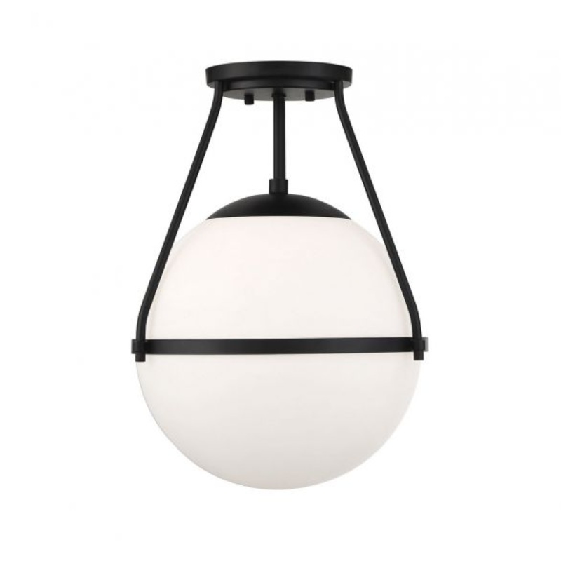 1-Light Ceiling Light in Matte Black - I58423339728