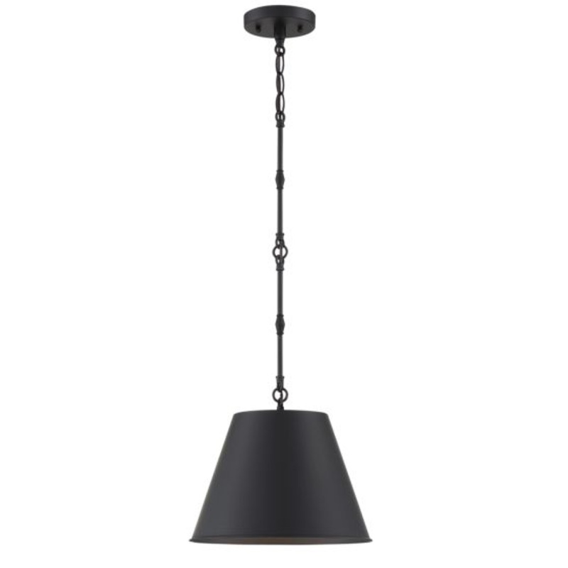Alden 1-Light Pendant in Matte Black - I58423339717