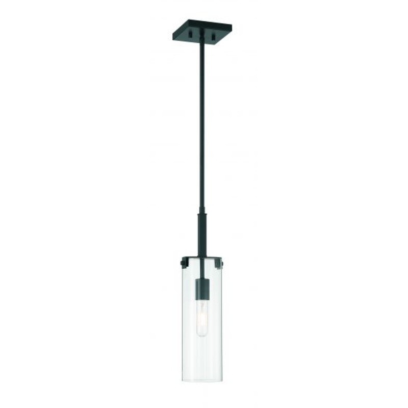 Winfield 1-Light Mini-Pendant in Matte Black - I58423339705