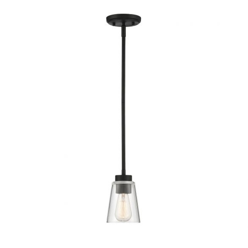 Calhoun 1-Light Mini-Pendant in Matte Black - I58423339621