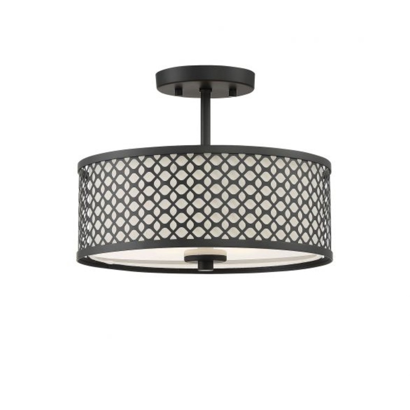 2-Light Ceiling Light in Matte Black - I58423339392