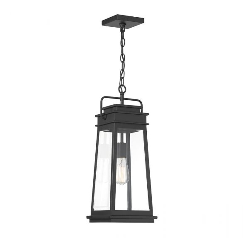 Boone 1-Light Outdoor Hanging Lantern in Matte Black - I58423339222