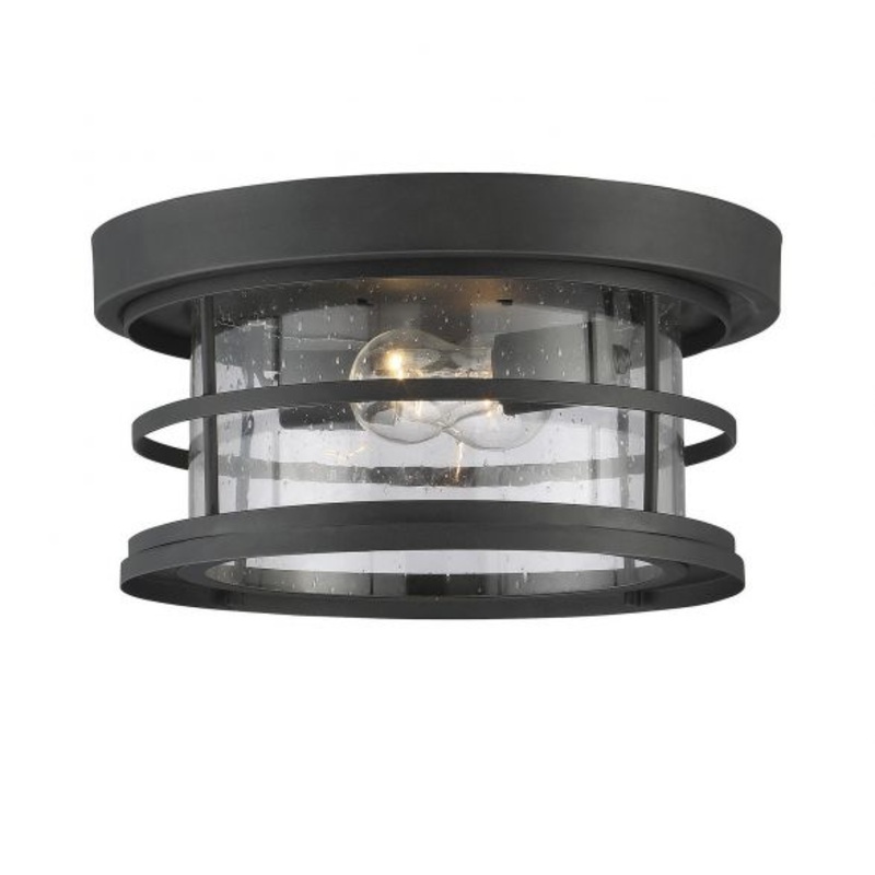 Barrett 2-Light Outdoor Ceiling Light in Black - I58423339021