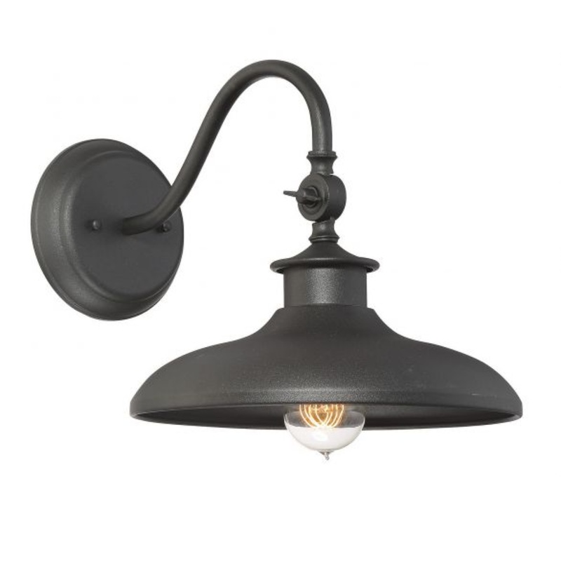 Raleigh 1-Light Outdoor Wall Lantern in Black - I58423339024