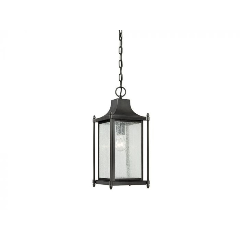 Dunnmore 1-Light Outdoor Hanging Lantern in Black - I58423338908