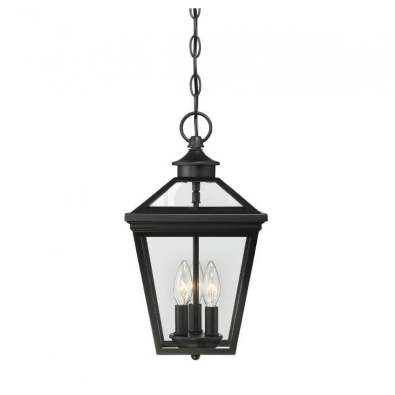 Ellijay 3-Light Outdoor Hanging Lantern in Black - I58423338890