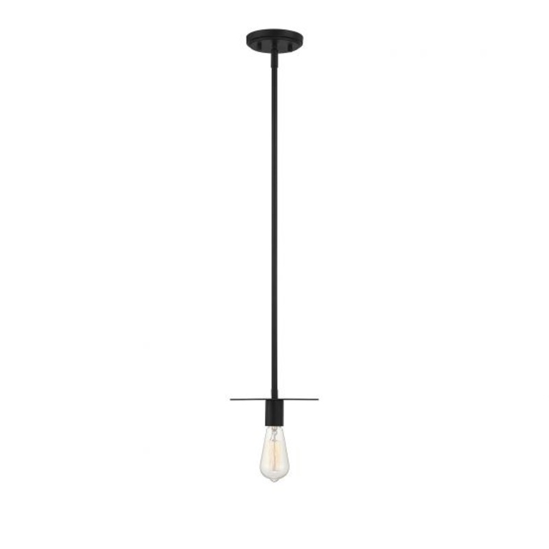 1-Light Mini Pendant in Matte Black - I58423338529
